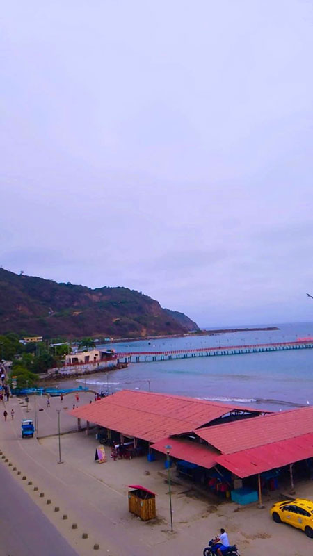 hostal humpback internacional huesped feiz1