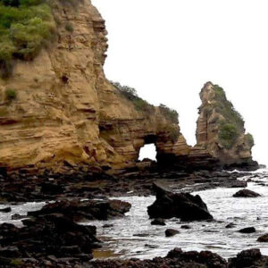 Nuevas aventuras en la hermosa Isla de Salango 2025 hostal humpback internacional huesped isla salango14