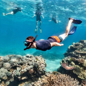 Nuevas aventuras en la hermosa Isla de Salango 2025 hostal humpback internacional huesped isla salango6